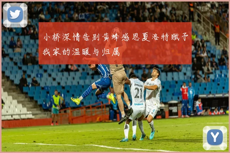 小桥深情告别黄蜂感恩夏洛特赋予我家的温暖与归属
